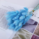 Dried bunny tail grass bouquet for festive decorations