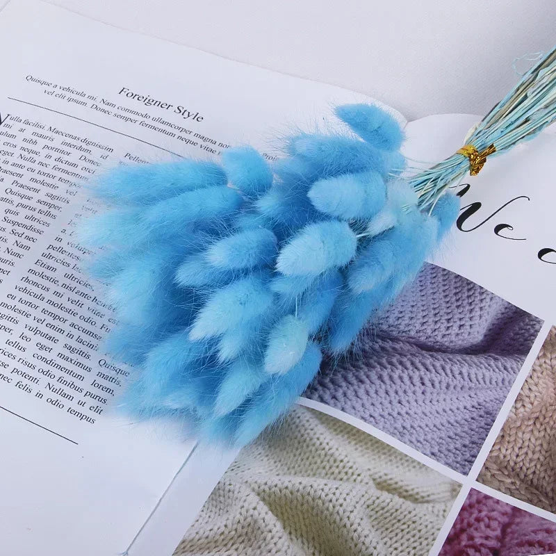 Dried bunny tail grass bouquet for festive decorations