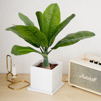 Artificial tropical palm tree in pot for indoor and outdoor decoration
