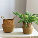wicker basket for storage and garden decoration