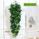 Decorative hanging plants for garden and weddings