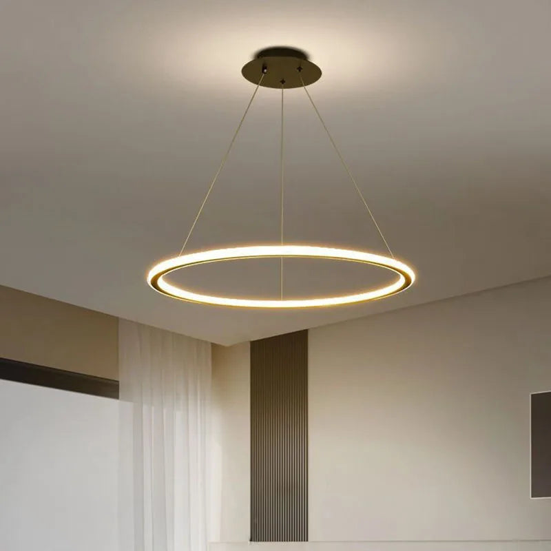 Modern LED pendant light for elegant interior decoration - vue 5 sur 22