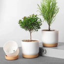 double layer round pot for succulent plants