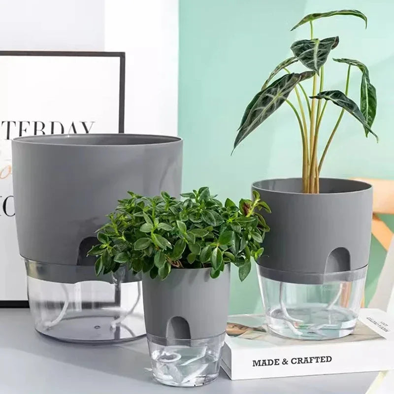 Self-watering plastic flower pot for succulents