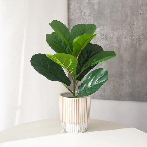 Artificial ficus plant in plastic for indoor and outdoor decoration - vue 2 sur 5