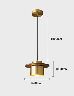 Modern copper pendant light for bars and restaurants