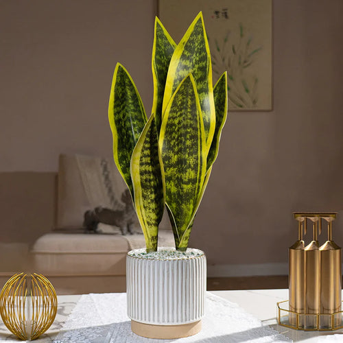 Artificial succulent plants in plastic for indoor decoration - vue 2 sur 12
