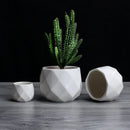 geometric ceramic flower pot for succulents