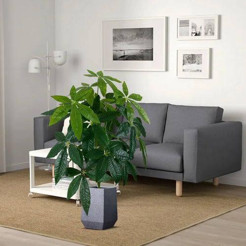 Large artificial monstera tree for indoor and outdoor decoration - vue 8 sur 8