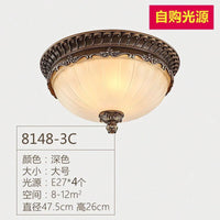 Retro industrial resin ceiling light for indoor lighting