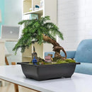 Rectangular clay effect flower pots for outdoor garden