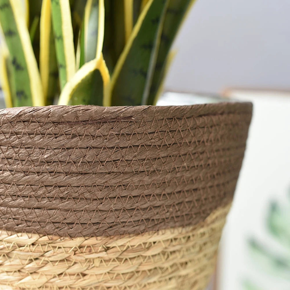 seagrass basket handwoven planter decorative for home - vue 4 sur 8