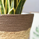 seagrass basket handwoven planter decorative for home