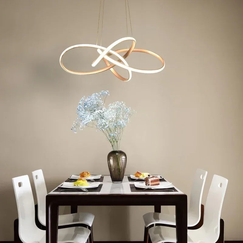 Modern LED pendant chandelier for home decoration - vue 6 sur 20
