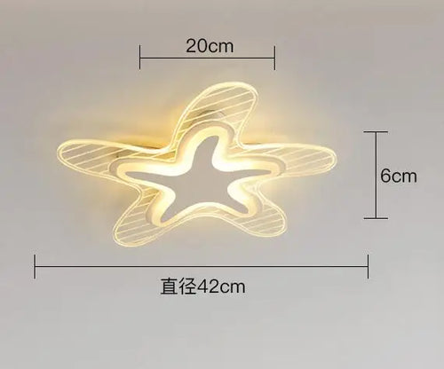 LED star ceiling light for decoration and interior lighting