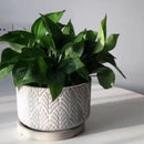 Silicone mould for concrete flower pot with leaf pattern
