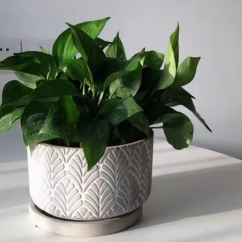 Silicone mould for concrete flower pot with leaf pattern - vue 5 sur 6