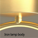 Creative LED ceiling light for various living spaces