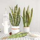 Set of 3 artificial plant branches for indoor and outdoor decoration