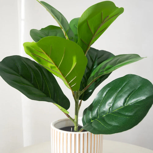 Artificial ficus plant in plastic for indoor and outdoor decoration - vue 3 sur 5