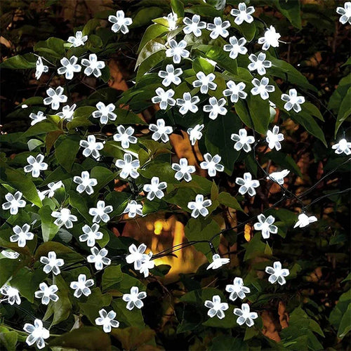 Solar garden fairy string lights for outdoor decoration - vue 10 sur 11