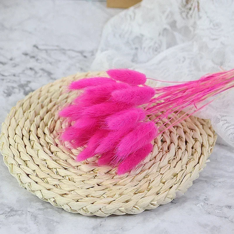 Dried bunny tail grass bouquet for festive decorations - vue 22 sur 23