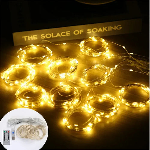 LED string lights for Christmas and festive decoration - vue 5 sur 14
