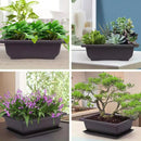 Rectangular clay effect flower pots for outdoor garden