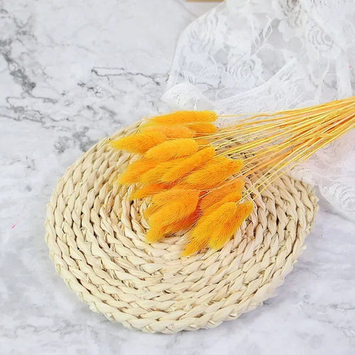 Dried bunny tail grass bouquet for festive decorations - vue 13 sur 23