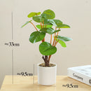 Artificial potted bamboo and monstera plant for home and office decor