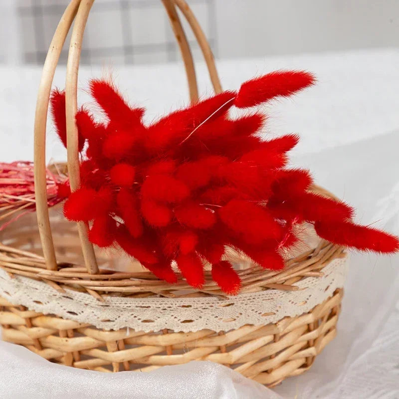 Dried bunny tail grass bouquet for festive decorations - vue 16 sur 23
