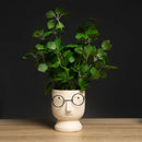 Artificial four leaf clover plants for indoor decoration