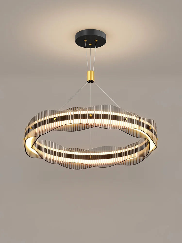 Modern designer chandelier for living room and restaurant pendant lighting - vue 6 sur 12