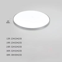 Modern LED ceiling chandelier 48W 36W 24W for bedroom, kitchen, bathroom, dining room lighting