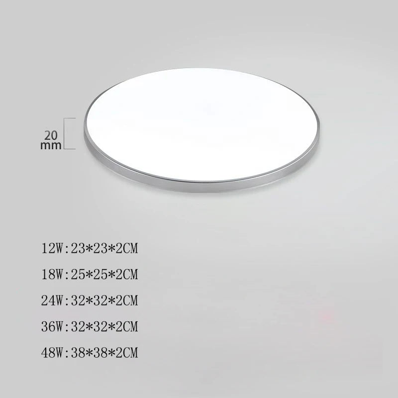 Modern LED ceiling chandelier 48W 36W 24W for bedroom, kitchen, bathroom, dining room lighting