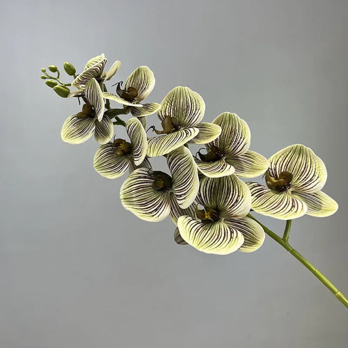 Decorative artificial butterfly orchid flowers in cotton and silicone - vue 10 sur 12