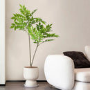 Artificial ficus plant in plastic for indoor decoration