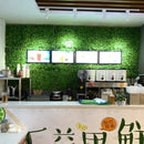 Artificial plant wall for outdoor decoration and landscaping