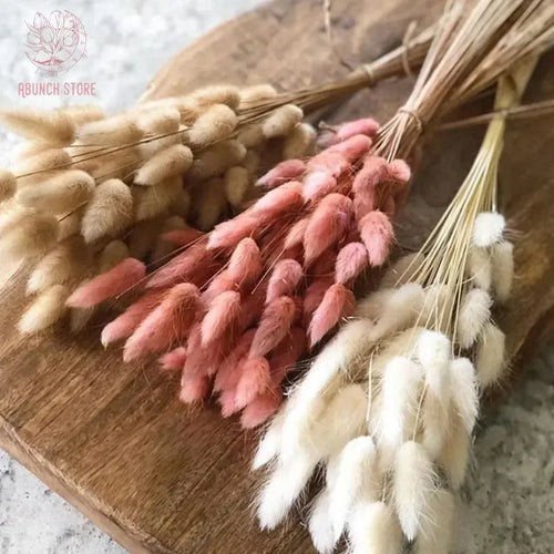 Dried bunny tail grass bouquet for festive decorations - vue 2 sur 23