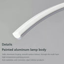 Modern LED chandelier with remote control and simple line