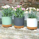 Large circular plastic indoor plant pot with drainage and tray