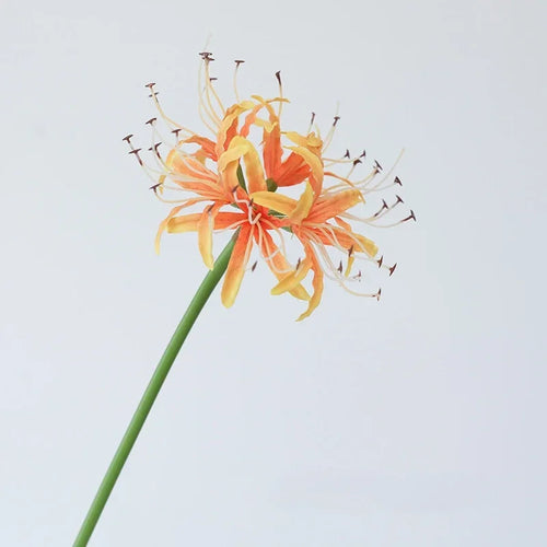 Silk spider lily artificial flower decoration - vue 14 sur 13