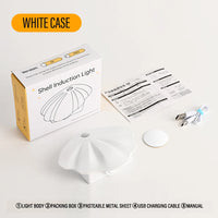 Wireless smart LED wall light with USB motion sensor