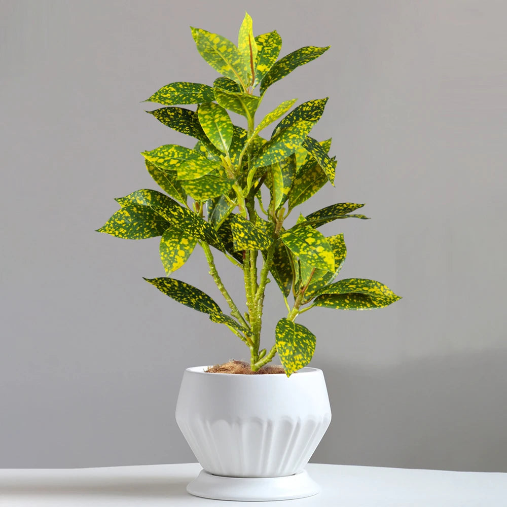Realistic artificial ficus tree for indoor and outdoor decoration