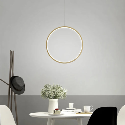 Minimalist nordic style LED pendant light for indoor use - vue 3 sur 18