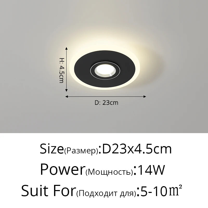 Acrylic LED spot ceiling light