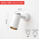 Parsimony adjustable LED spotlight wall light