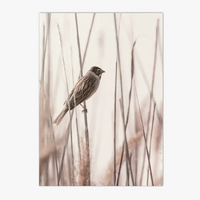Decorative wall art nature birds flowers and sand