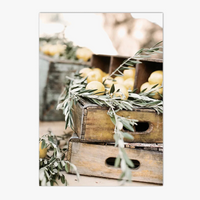 Tuscan wall art of Bellagio for Mediterranean decor