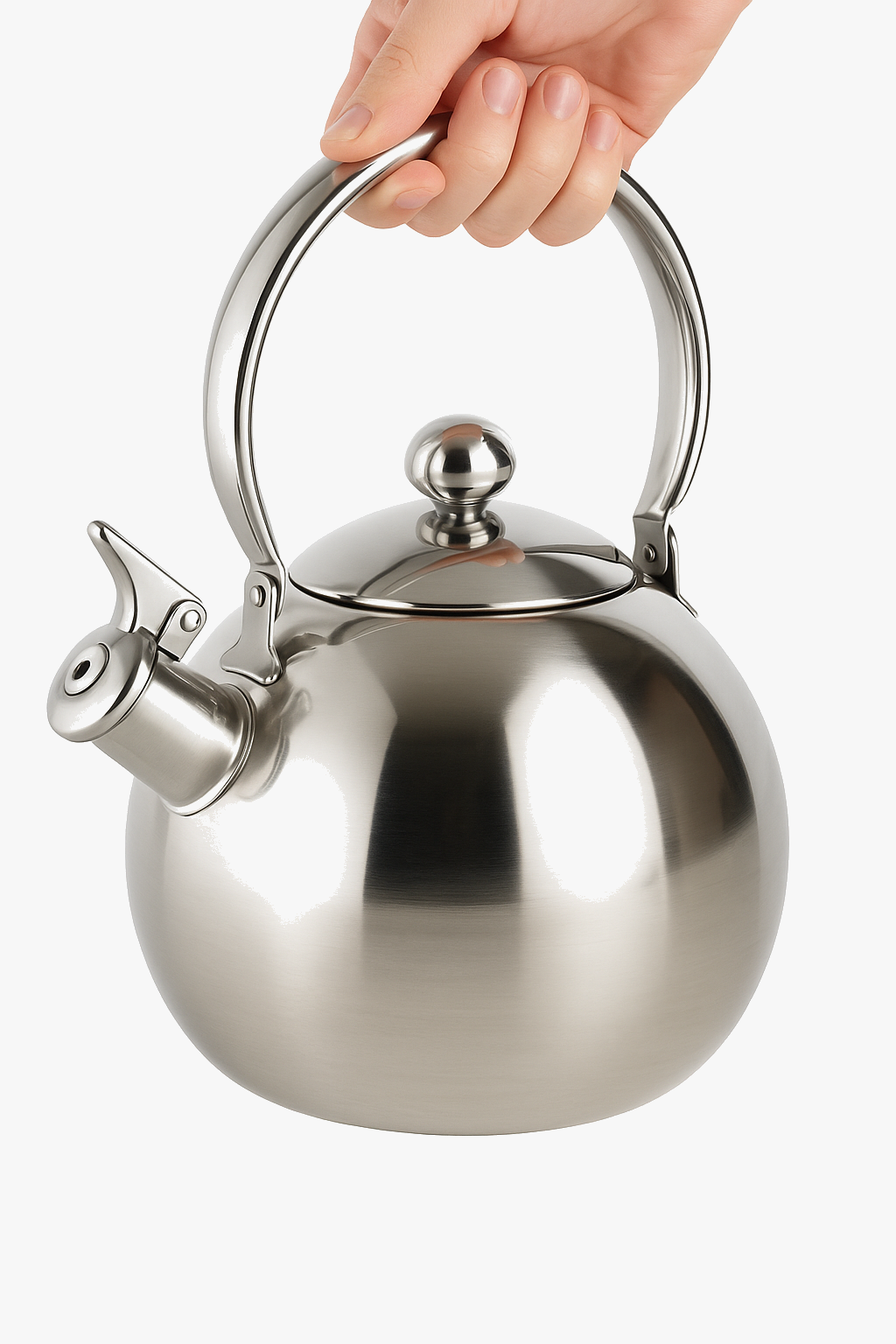 Portable stainless steel kettle with tea and coffee infuser